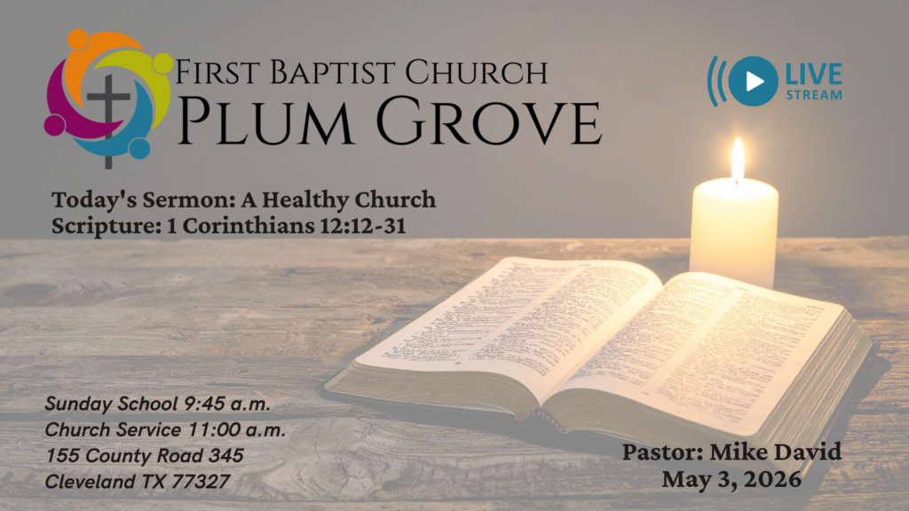 “A Healthy Church” – 1 Corinthians 12:12-31